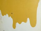 FLEA ON THE HONEY  LP  GATEFOLD   1971  ITALIAN  PROGRESSIVE - PROG ITALY