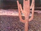 INDIAN SUMMER SELF-TITLED NEON ORIGINAL RARE UK LP STEREO RCA NE3 GATEFOLD