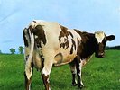 PINK FLOYD - ATOM HEART MOTHER - ORIGINAL GREEN HARVEST LABEL - SHVL 781