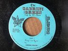 CHICAGO BLUES 45 LIL MASON Cabrini Green MIGHTY JOE YOUNG,ROGER FARROW harmonica