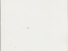 Jimi Hendrix, Blues 2LP Test Pressing SS - Blue Vinyl