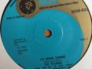 The Velours-I'm Gonna Change-7