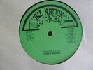TONEY MURRY Beautiful Lady ALL NATION Roots Reggae 12