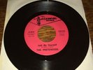 PRETENDERS Just Be Yourself/Just You Wait & See Carnival-559 VG++