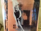 E.G. DAILY WILD CHILD LP 1985 A&M Vinyl LP Mint Sealed