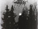 Panzerfaust [VINYL] Darkthrone Vinyl