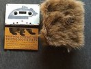 THIS WILL DESTROY YOU YOUNG MOUNTAIN CASSETTE TAPE RARE /50 EXPLOSIONS MOGWAI