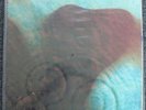 Pink Floyd   Meddle MFSL LP   FACTORY SEALED