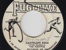 Rocksteady Reggae 45 - Fugitives & Ranking Joe - Cantelope Rock - Fugitive - mp3