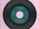 The Higher Elevation Diamond Mine Crazy Bicycle Chicory 45 Record Garage Psych