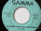 GARLAND GREEN-IT RAINED FORTY DAYS & NIGHTS /GIRL I LOVE YOU-NORTHERN 45 on CHAW