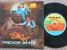 TREVOR WHITE, CRAZY KIDS, ISLAND RECORDS, EX / EX