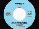 Sweet/Modern Soul 45 BRANDY Love Is On My Mind/Lovers Song HEAR Low Rider RARE