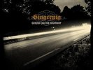 Gingerpig - Ghost On The Highway LP #91963