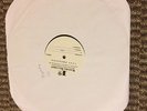 Pet Symmetry - Pets Hounds LP TEST PRESS _/10 BRAND NEW DOWSING INTO IT OVER IT