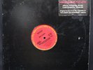 ROY AYERS Programmed For Love PROMO 12