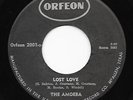 Rare Texas Garage Punk 45 THE AMOEBA Lost Love/Time Is On My Side Orfeon HEAR