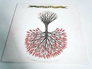 LUNGFISH - LOVE IS LOVE-LP/Vinyl/Record