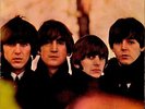 Beatles for Sale  The Beatles
