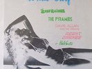 What Surf compilation LP vinyl record Agent Orange