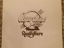 Amodeus “Really Here” RARE PRIVATE RURAL XIAN AOR SOFT FOLK ROCK LP - MINT