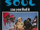 Soul - Can You Feel It? [Vinyl New]