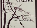 PHAROAH SANDERS PHAROAH INDIA NAVIGATION 1027 US ORIGINAL 1977 1st PRESSING M-/M