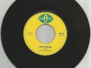 LLOYD AND DEVON / OUT OF THE FIRE / CAN'T UNDERSTAND / 7''/ EX