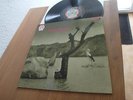 TONTON MACOUTE SAME LP 1971 RCA NEON MINT 1st Press