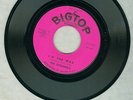 THE DYNAMICS MISERY / I'M THE MAN 45 VINYL RECORD BIG TOP 45-3161 VERY NICE