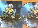 IRON MAIDEN – Revelations in Germany, June 2014, PICTURE DISC w/COVER, NEW RARE