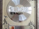 Yellowcard Ocean Avenue platinum US Music RIAA Award platin Schallplatte goldene
