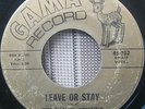 Rare Virginia Garage:The English Muffins  Leave Or Stay  Gama 702  Fuzz Punk