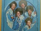 THE JACKSONS Self Titled 1976 PROMO Picture Disc LP Michael Jackson