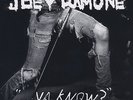 Ya Know - RAMONE JOEY [2x LP]