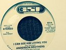 ANDERSON BROTHERS- I CAN SEE HIM LOVING YOU   MONO /STEREO  1974