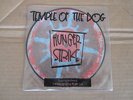 TEMPLE OF THE DOG Hunger Strike 7