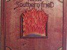 SOUTHERN FRIED A Little Taste Of US PSYCH PROG Mercury 1971
