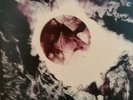 TANGERINE DREAM.    Alpha Centauri/Atem
