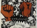 Bunny Wailer - Struggle LP - Solomonic - Roots Reggae
