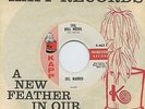Hear - Rare Popcorn/Soul 45 - Joel Warren - Evil Boll Weevil - Kapp Records - M-