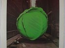 Meters - Cabbage Alley LP - Reprise VG++