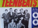 TEENBEATS 'Surf Bound LP Checkmates KLAS radio Nevegan's Norton back from grave