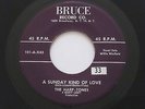 HARP-TONES A Sunday Kind Of Love I'll Never Tell Bruce Doo Wop Harptones 45 HEAR