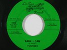Northern Soul 45 FUGITIVES Baby I Can/Beg Me To Love You on Lin-Dan VG++