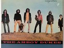 Amboy Dukes   Migration NMM Vinyl LP Ted Nugent Juvenile Delinquent Prodigal Man