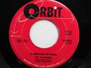 WANDERERS 45 A teenage quarrel / My shining hour ORBIT VG++  Doowop bb3043