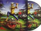 IRON MAIDEN VINYL LP THE EVIL IN FLORIDA - PICTURE DISC