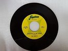 The Quests - Shadows In The Night ? RARE MICHIGAN FENTON GARAGE LISTEN EX WAX