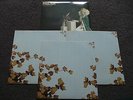 FEEDER - Picture Of Perfect Youth(UK 2004 TRIPLE VINYL ALBUM / MINT VINYLS)